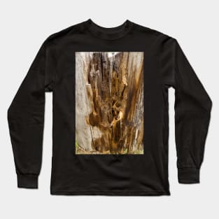 Wood texture of rotten tree trunk, close-up, texture, background Long Sleeve T-Shirt